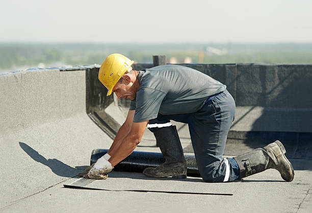 Best Insulation Maintenance and Repair in Howard City, MI